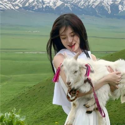 狩猎场·寄死窑